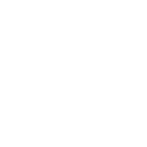 Verticon