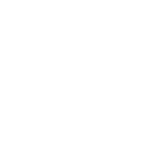 vixe
